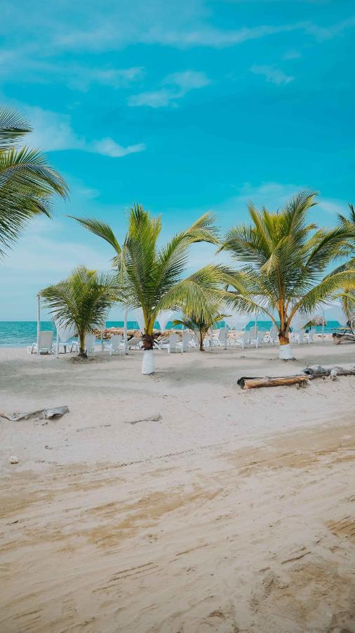 Makary Beach Tolu By Bernalo Hotels Eksteriør bilde